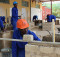 KAYEC bricklaying trainees powering up their career at our Wanaheda centre. Photo: Namibian Sun